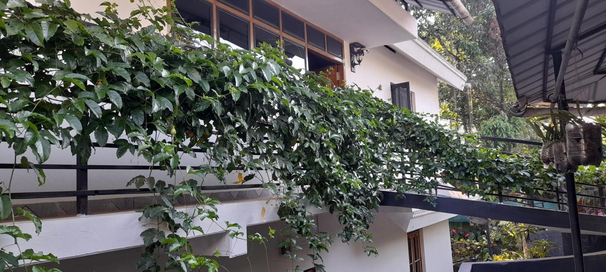 Le Farmhouse Munnar Anachal Exterior foto