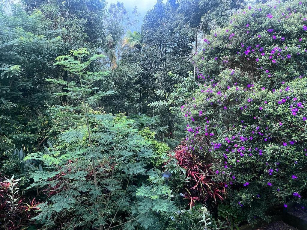 Le Farmhouse Munnar Anachal Exterior foto